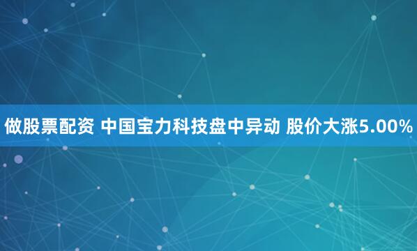 做股票配资 中国宝力科技盘中异动 股价大涨5.00%