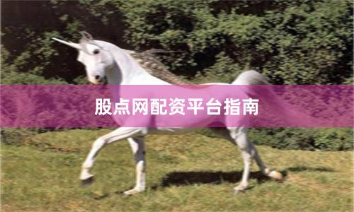 股点网配资平台指南
