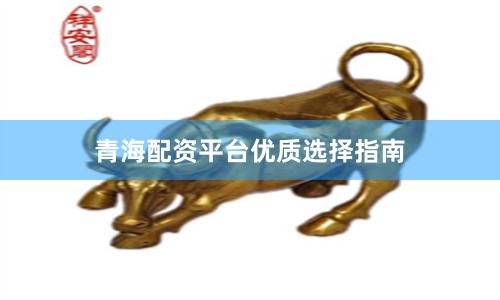 青海配资平台优质选择指南