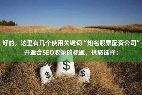 好的，这里有几个使用关键词“知名股票配资公司”并适合SEO收录的标题，供您选择：